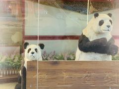 -乐山串串香老火锅(鼓楼店)