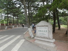 -八大关景区