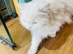 -小时光咖啡馆(开森度假森林店)