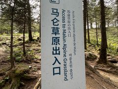 -芦芽山旅游度假区