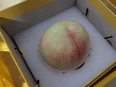 -老袁家蜜桃农场·阳山水蜜桃