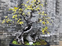 -梁园