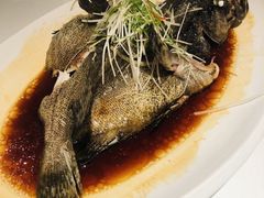 -人杰鱼乐轩(珠江路店)