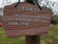 -南溪山景区