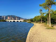 -飞来湖湿地公园