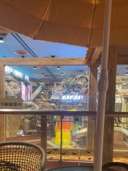 -卡通尼·Safari非洲探索乐园·生日会(金桥国际商业广场店)