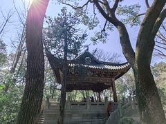 -汇龙潭