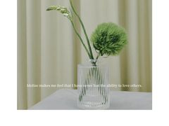 -弗劳尔花艺坊(龙涛店)