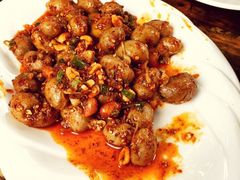 -老号尤兔头(幸福店)