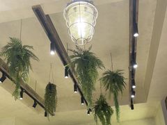 -婉泰·特色小吃·舂鸡脚(告庄二店)