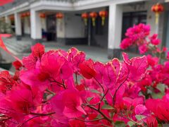 -天后宫岭南民俗文化街