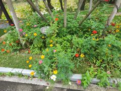 -黄陂区野村谷景区