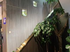 -野菌皇海景野生菌火锅(滨海大道店)
