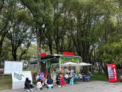 -重庆市江北嘴中央商务区中央公园