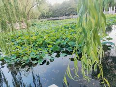 -满都海公园