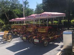 -绿堤公园