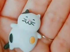 -猫咪博物馆(顶澳仔猫街店)