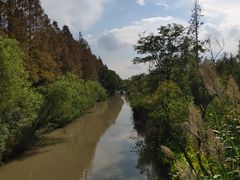 -上海长兴岛郊野公园