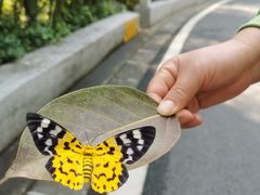 -广州市白云山风景名胜区