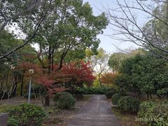 -尚贤河湿地