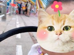 -琴岛之星摩天轮