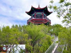 -南大港湿地风景区