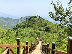 -大岭沟猕猴桃谷风景区