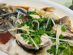 -浦江餐饮•上海菜馆(五四路店)