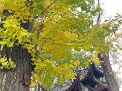 -西园戒幢律寺