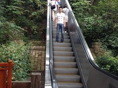 iphone_upload_pic-天目湖山水园