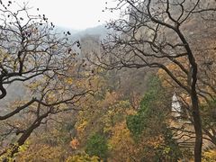-北京鹫峰国家森林公园