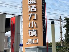 -龙盛活力小镇