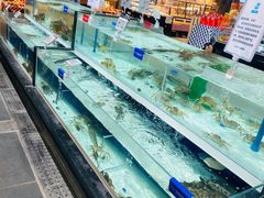 水产区-盒马鲜生(新都心店)