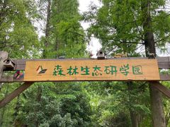 -东平国家森林公园