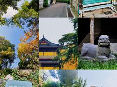 -北极阁公园