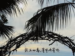 -三亚西岛海洋文化旅游区