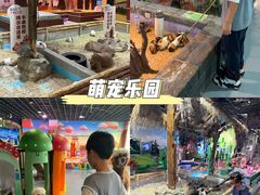 -顺德南宏海立方海洋公园