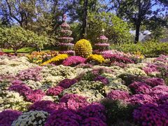 -国家植物园南园