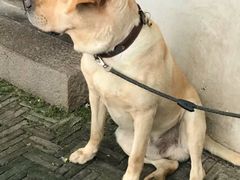 -漕溪人家