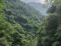 -山沟沟景区
