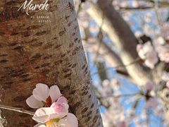 -瀛海足球主题公园