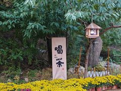 -阿尔丁植物园