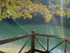 -鼎湖山风景区