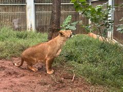 -昆明动物园