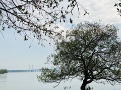 -宝安西湾红树林湿地公园