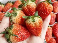 草莓-百果园PAGODA(建业如意家园店)