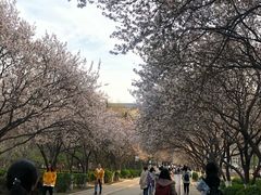 -山东师范大学(千佛山校区)