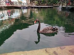 -古龙峡云天玻霸