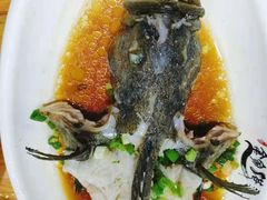 清蒸石斑鱼-金家港海鲜大排档(中山路店)