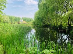 -溱湖国家湿地公园